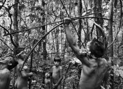 A Terra Indígena dos Awá Guajá está sofrendo risco de invasão