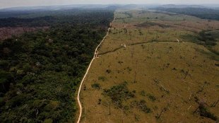 Desmatamento no Brasil passa de 8 mil km² pelo terceiro ano consecutivo sob governo Bolsonaro