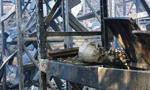 Incêndio no Museu de História Natural da UFMG pode ter destruído acervo único