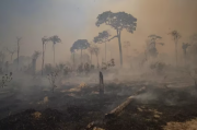 Defender nossos biomas nas ruas contra as queimadas do agronegócio, Bolsonaro e direita