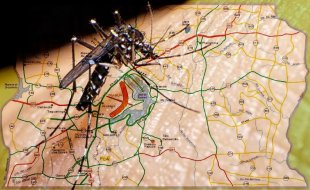 Casos de dengue se multiplicam no Distrito Federal: problema histórico e não resolvido por interesse do Estado